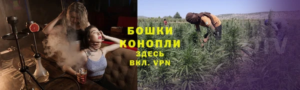 шишки Алексеевка