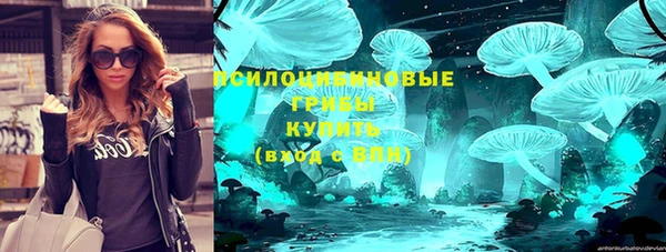 круглые Алзамай