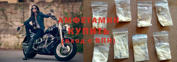 ГАЛЛЮЦИНОГЕННЫЕ ГРИБЫ Корсаков